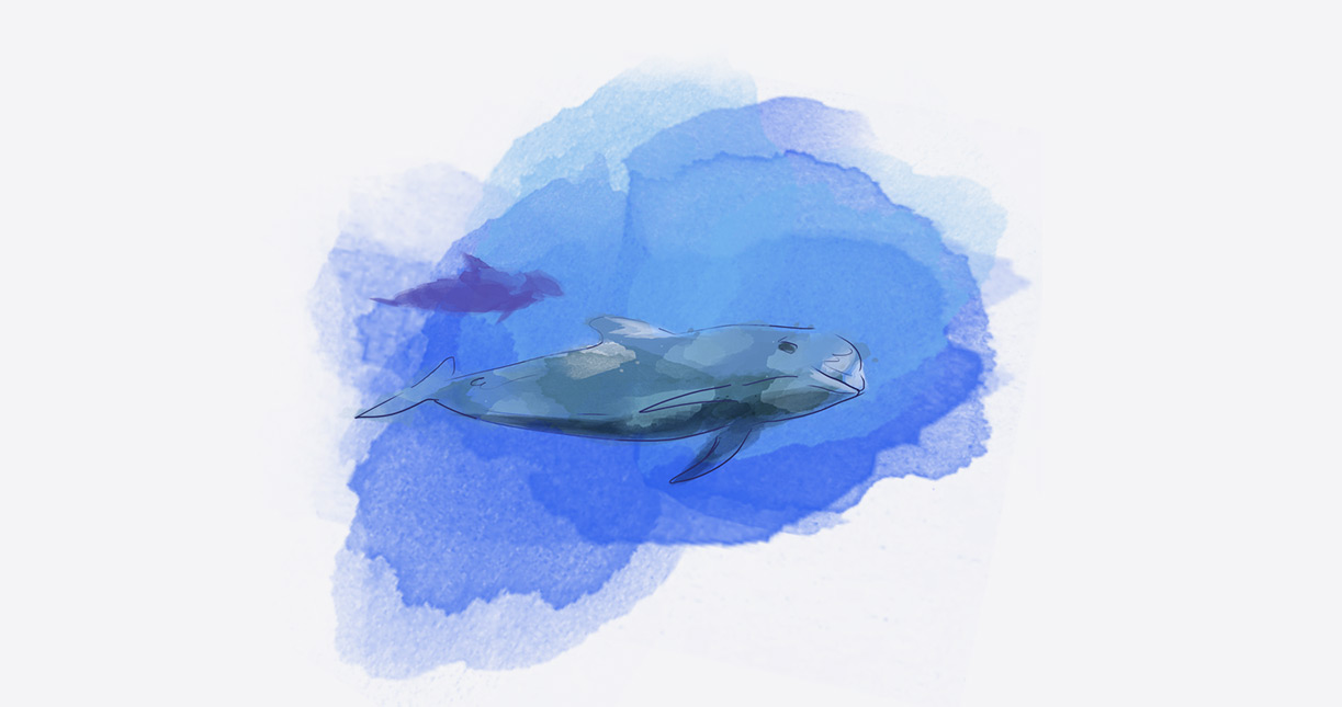 be_stories_whales_02