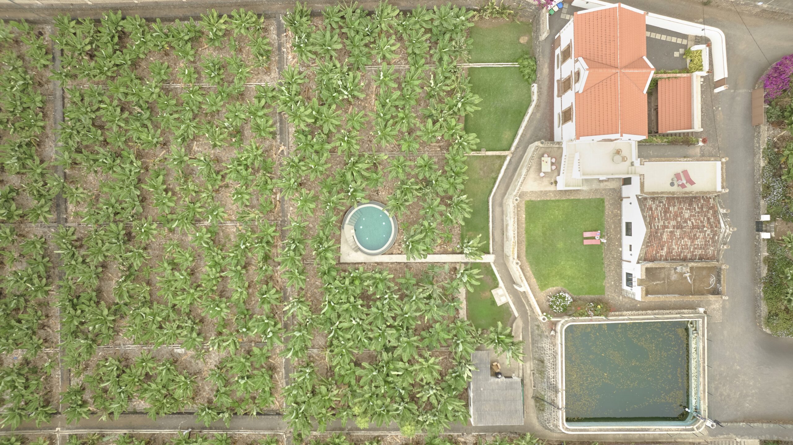 02_piscina